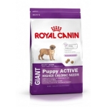 Сухой корм Royal Canin (Роял Канин) Гиант Паппи Актив (15 кг)